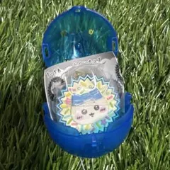 手作りおやつチャーム ハチワレ