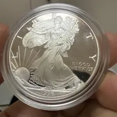 2026年最新】イーグル銀貨 プルーフの人気アイテム - メルカリ