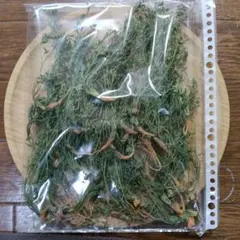 みるくここあさんさま♡専用