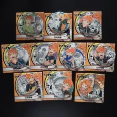 ハイキュー!!　日向翔陽　コレクション缶バッジ　HEROES　コンプリート