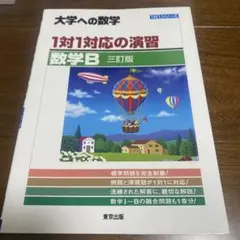 hi様 リクエスト 2点 まとめ商品