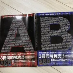 AKB48VISUAL BOOK featuring team AとB 2010