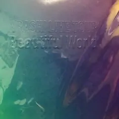 嵐2011年ツアーパンフレットbeautiful world