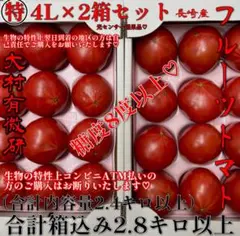 フルーツトマト！！*\(^o^)/* ❤️糖度8度以上❤️○特4L❤️2箱セット❤️のサムネイル