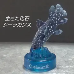 海洋堂【シーラカンス】生きた化石 フィギュア