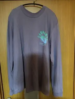 carhartt wip L/S REMIX T-SHIRT Lサイズ