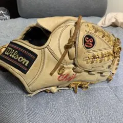 ミズノ ワールドウィン チャンピオンシップR ビンテージ 内野用 硬式