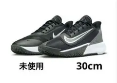 未使用品 ナイキ プレシジョン 7 30cm