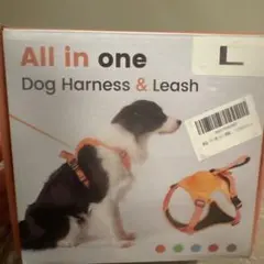 オレンジ色 Lサイズ ハーネスリード