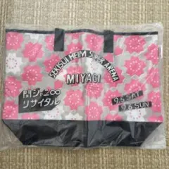 Item thumbnail for item 036e9db4-3ebf-4024-841f-de496b33f1b2