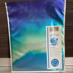 【BUMP OF CHICKEN】パンフレット 特典ポスター 写真集