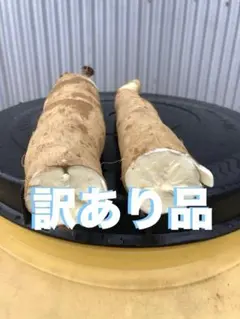 2026年最新】キャッサバ芋の人気アイテム - メルカリ