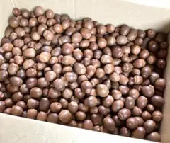 Item thumbnail for item 131bd326-9e2f-4116-8555-a2d198e37a5b