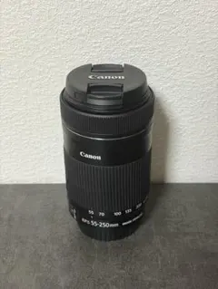 2026年最新】ef-s55-250mm f4-5.6 is stmの人気アイテム - メルカリ