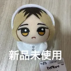 新品未使用ハイキュー　ちびぐるみ　 アニマルポンチョ vol 2 研磨