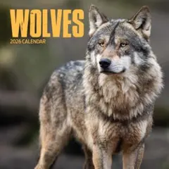 Item thumbnail for item fd540dbb-0965-4dd3-ad45-5b8bbf7e986a