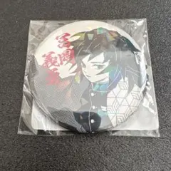 2026年最新】鬼滅の刃 冨岡義勇 オールスター缶バッジの人気アイテム