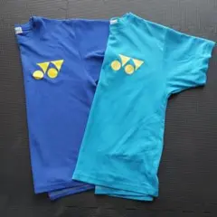 Item thumbnail for item 93a00952-5b82-49a6-82ae-77fed4e53d9d