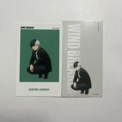 WIND BREAKER 桜遥　チェキ風シール