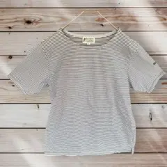 ポロ　U.S. POLO ASSOCIATION ストライプ 半袖Tシャツ M