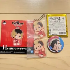 ハイキュー　山本猛虎