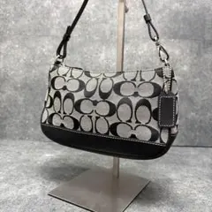 新品COACH ポーチ CR394 ノリータ19 PVC チェッカーボード 新品COACH ポーチ CR394 ノリータ19 PVC チェッカーボード - メルカリ