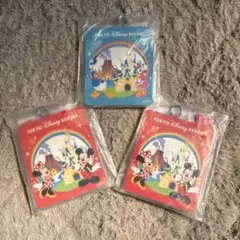 東京ディズニーリゾート パスケース