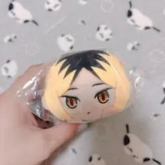 2026年最新】極楽湯 ハイキュー 研磨 缶バッジの人気アイテム - メルカリ