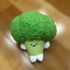 KO1KEYZ ぬいぐるみ　加藤大樹　ブロッコリー　ミドリ　お揃い