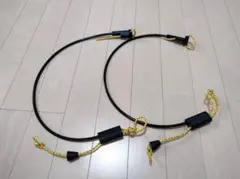 Item thumbnail for item 399fed80-c2da-47c7-b8dc-2bc5a15ee045