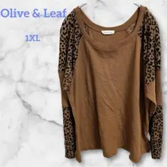 Olive & Leaf ブラウン レオパード柄 長袖