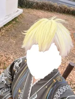 2025年最新】サニーブリスコー コスプレの人気アイテム - メルカリ