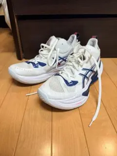 【本日まで‼️】アシックス メタライズ2 28.0cmのサムネイル