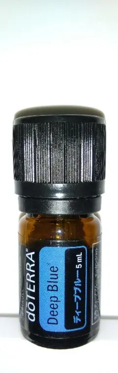 2026年最新】ディープブルー ドテラの人気アイテム - メルカリ