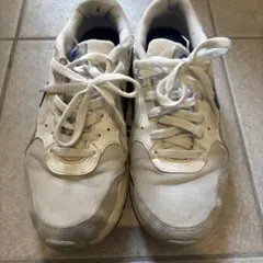 Nike Air スニーカー ホワイト/ブルー