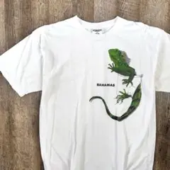 【90s】 BAHAMAS イグアナ プリント Tシャツ L相当