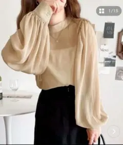 ブラウス シアー バルーンスリーブ L