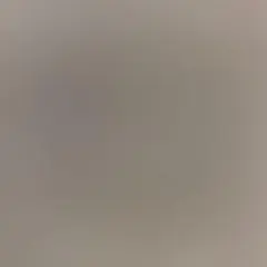 にこ☺️様専用