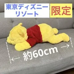 くまのプーさん だきぬいぐるみ 約60cm 東京ディズニーリゾート限定 寝そべり