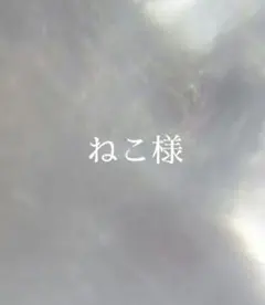 1.ねこ様　オーダー