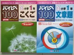 ハイレベ100 1年