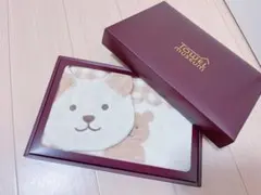定価12100円 スロータイド ブランケット トルコタオル ビーチタオル