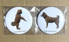 サイレントヒル2 犬エンド 缶バッジ EXHIBITION 展示会 限定品 - メルカリ