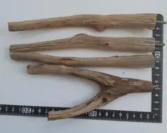 立ち枯れ杜松の小枝で作った小鳥の止まり木4本セット