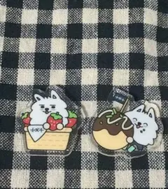 【ご当地プルバトゥ】 チェ・ヨンモン ②