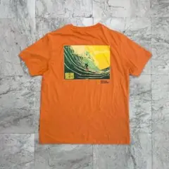 ナショナルジオグラフィック　Tシャツ　メンズ　S　オレンジ　半袖　バックプリント