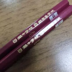 Item thumbnail for item 0652831c-eae2-4f4c-a7f0-5d6c7fabb95b