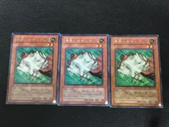 15様 リクエスト 2点 まとめ商品