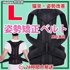 Item thumbnail for item 7e432264-22f0-4f25-96ce-ef142c472533