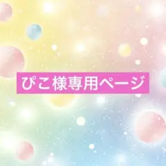 ぴこ様専用ページ